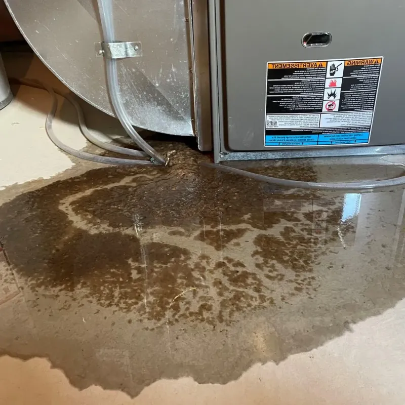 Pipe Burst and Leak Restoration in Moroni, UT