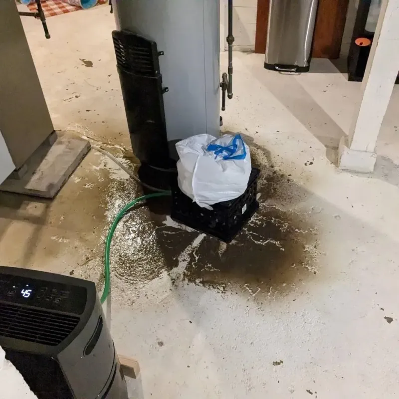 Sewage Backup Cleanup Service in Moroni, UT